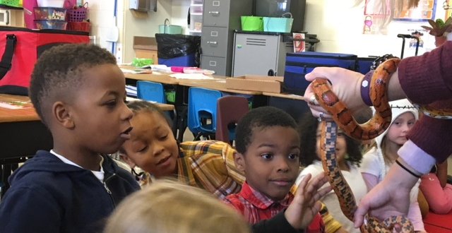 Children observing snake