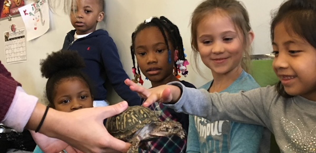 Children with turtle